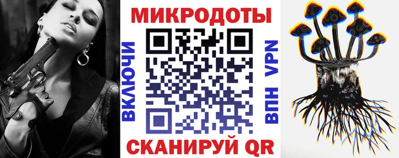 где можно купить наркотик  MEGA ONION  Псилоцибиновые грибы ЛСД  Лаишево 